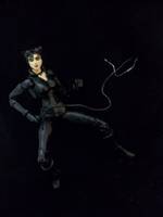 Arkham City Catwoman (V2) (Batman - Arkham City) Custom Action Figure