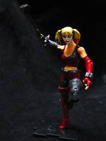 Arkham City Harley Quinn (Batman - Arkham City) Custom Action Figure