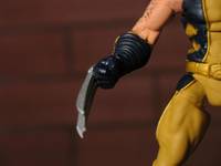 Wolverine (Marvel Legends) Custom Action Figure