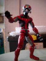Ant Man (Marvel Legends) Custom Action Figure