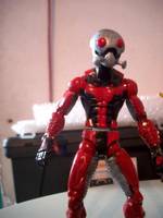 Ant Man (Marvel Legends) Custom Action Figure