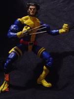 Wolverine (Marvel Legends) Custom Action Figure
