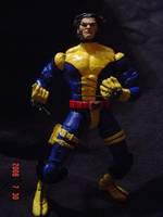 Wolverine (Marvel Legends) Custom Action Figure