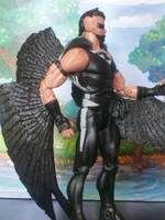 Black Condor (Modern Freedom Fighters) (DC Universe) Custom Action Figure