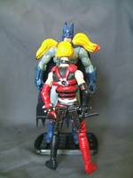 Arkham City Harley Quinn (Batman - Arkham City) Custom Action Figure