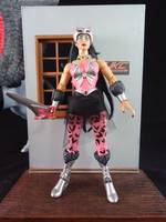 Catra and Silver Storm (Princess of Power) (Masters of the Universe) Custom Action Figure
