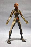 Wolfsbane (X-Force) (Marvel Legends) Custom Action Figure