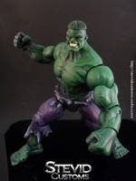Incredible  Hulk (Marvel Legends) Custom Action Figure