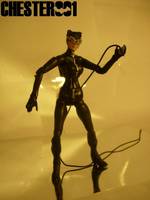 Catwoman | Selina Kyle (Batman) Custom Action Figure
