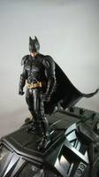 Movie Masters the Dark Knight Batman with Wired Cape (Movie Masters) Custom Action Figure