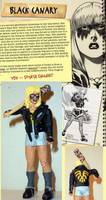 Black Canary from First Wave (DC Universe) Custom Action Figure