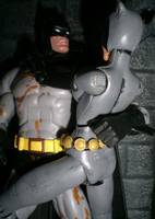 Catwoman (Batman Animated) Custom Action Figure