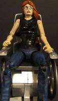 Dc Batman "Oracle Batgirl (DC Universe) Custom Action Figure