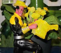 Gardening with Sinestro (Green Lantern) Custom Action Figure