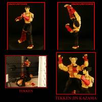 Jin Kazazma (Tekken) Custom Action Figure
