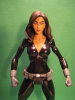 Talia Al Ghul (DC Universe) Custom Action Figure