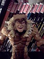 Sabretooth (Marvel Legends) Custom Action Figure