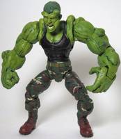 Codename:  FLUX (Incredible Hulk) Custom Action Figure