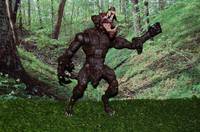 The  Wolf (Fantasy) Custom Action Figure