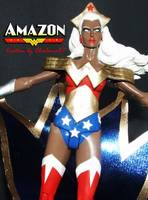 AMAZON Wonder Woman & Storm Combination (Wonder Woman) Custom Action Figure