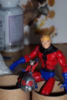 Hank Pym/Ant-Man (Marvel Universe) Custom Action Figure