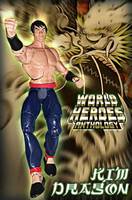 World Heroes-Kim Dragon (SNK) Custom Action Figure