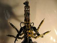 Golden Scorpion (Original) Custom Action Figure