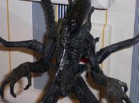 Royal Gaurd Alien (Predator) Custom Action Figure