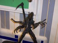 Royal Gaurd Alien (Predator) Custom Action Figure