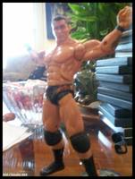 Randy  Orton "The Legend Killer" (Wrestling) Custom Action Figure