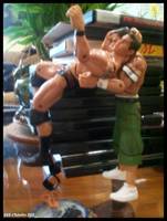 Randy  Orton "The Legend Killer" (Wrestling) Custom Action Figure