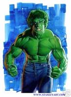 Lou Ferrigno TV Hulk (Incredible Hulk) Custom Action Figure