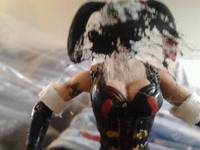 Harley Quinns Revenge Harley Quinn (Batman - Arkham City) Custom Action Figure