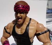 Rockstar Robbie Gilmore (Pink Zebra) (Wrestling) Custom Action Figure