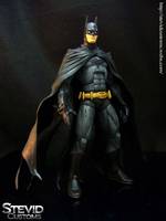 Batman (DC Universe) Custom Action Figure