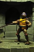 Donatello (Teenage Mutant Ninja Turtles) Custom Action Figure