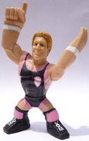 WWE Owen Hart Rumbler (Wrestling) Custom Miniature / Figurine