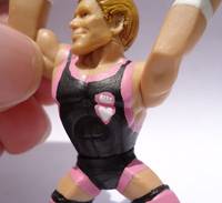 WWE Owen Hart Rumbler (Wrestling) Custom Miniature / Figurine