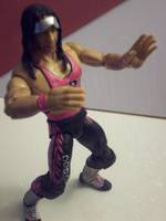 Bret Hart (Wrestling) Custom Action Figure