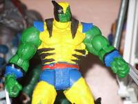 Wolverine-Hulk (Marvel Legends) Custom Action Figure