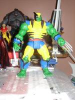 Wolverine-Hulk (Marvel Legends) Custom Action Figure