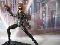 Catwoman (Batman - Dark Knight Rises) Custom Action Figure
