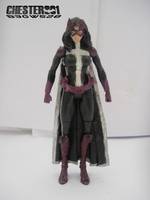 B3gw528 Huntress | Helena Bertinelli (Batman) Custom Action Figure