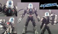 DCUC Mr. Freeze (DC Universe) Custom Action Figure