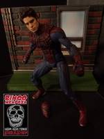 Amazing Spiderman Movie Repaint (Marvel Select) Custom Action Figure