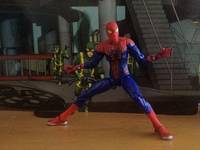 The Amazing Spider-Man (Marvel Universe) Custom Action Figure