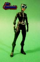 Catwoman (DC Universe) Custom Action Figure