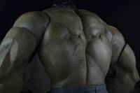 The Avengers Hulk Custom Figure (Avengers) Custom Action Figure