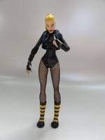 Black Canary (DC Direct) Custom Action Figure