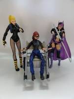 Black Canary (DC Direct) Custom Action Figure